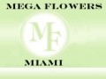 Wedding Organizers Miami, Coconut Grove, Miami - logo